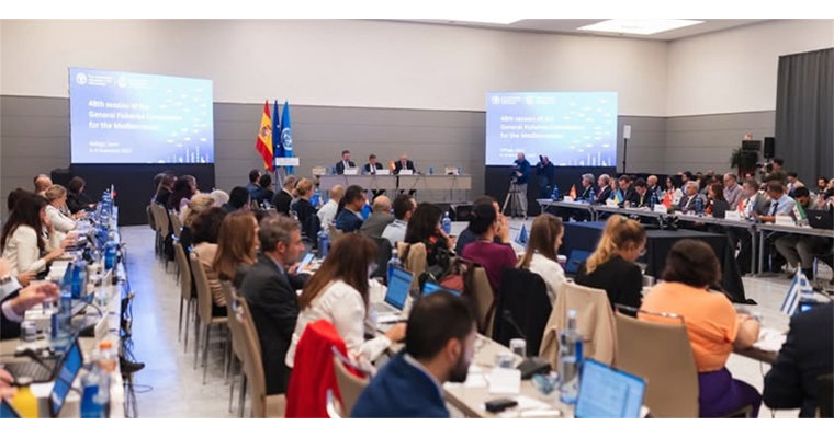 <h1>TÜRKİYE, AKDENİZ GENEL BALIKÇILIK KOMİSYONU BAŞKANLIĞINA SEÇİLDİ</h1>