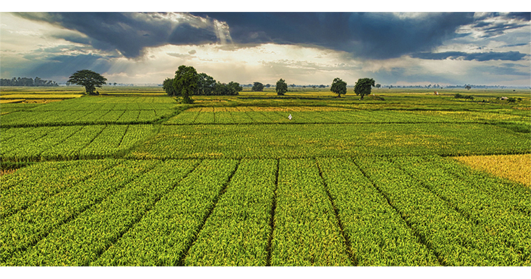 <h1>ÇİFTÇİLERE BUGÜN 1,6 MİLYAR LİRALIK DESTEKLEME ÖDEMESİ YAPILACAK</h1>