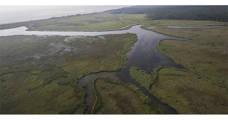 <h1>BAKAN YUMAKLI: ''1,2 MİLYON HEKTARLIK 138 SULAK ALANLA DOĞAL YAŞAMIN SÜRDÜRÜLEBİLİRLİĞİ İÇİN ÇALIŞIYORUZ''</h1>