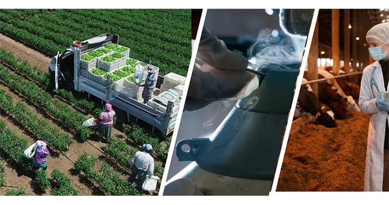 <h1>17 MİLYAR LİRALIK DESTEKLEME ÖDEMESİ HESAPLARA AKTARILIYOR</h1>