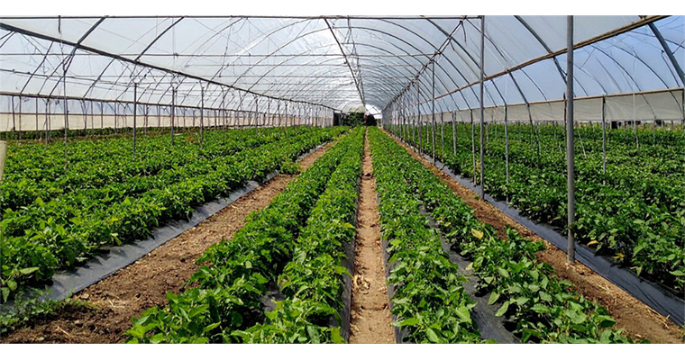 <h1>BAKAN YUMAKLI, ZONGULDAK ÇAYCUMA SERA OTB'NİN ÜRETİME BAŞLADIĞINI BİLDİRDİ</h1>