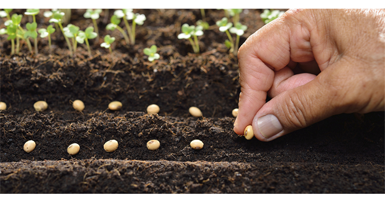 <h1>BAKAN YUMAKLI, SERTİFİKALI TOHUM ÜRETİMİ VE İHRACATINDA YÜKSELİŞİN SÜRDÜĞÜNÜ BİLDİRDİ</h1>