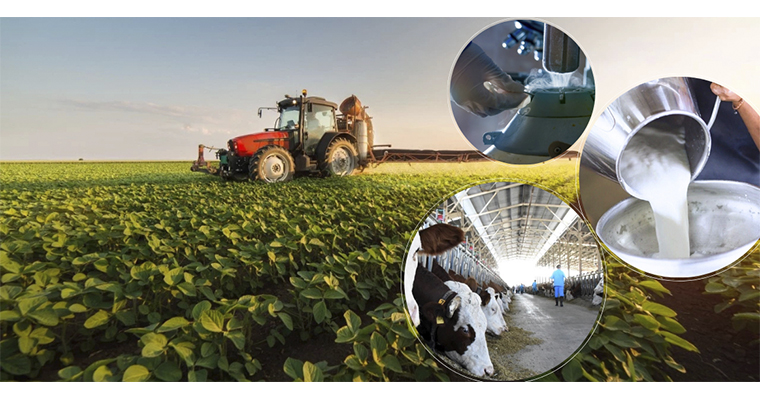 <h1>YAKLAŞIK 11 MİLYAR LİRALIK DESTEKLEME ÖDEMESİ BUGÜN HESAPLARA AKTARILIYOR</h1>