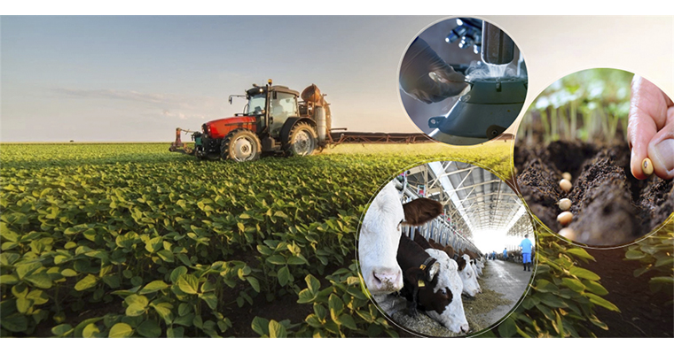 <h1>338 MİLYON LİRALIK DESTEKLEME ÖDEMESİ BUGÜN HESAPLARA AKTARILIYOR</h1>