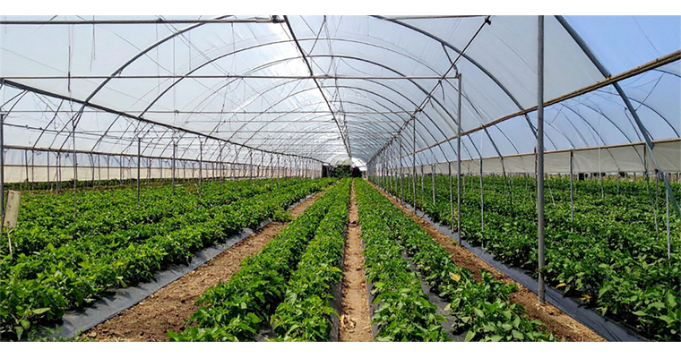 <h1>İZMİR BAYINDIR SERA ORGANİZE TARIM BÖLGESİ'NDE ALTYAPI ÇALIŞMALARI TAMAMLANDI</h1>